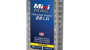 CCI 22LR MINI MAG 36GR HV HP 100 PK 1260FPS