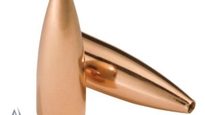 SPEER 204 39GR TNT 100PK