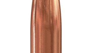 SPEER 257 100GR HP 100PK