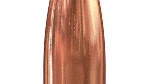 SPEER 224 55GR SPITZER 1000 VALUE PK