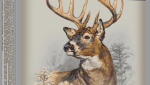 Winchester Power Point 7MMRM 175gr PP